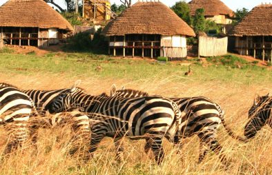 Kidepo Valley National Park