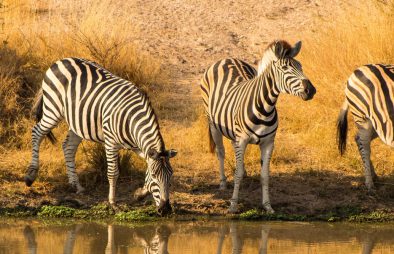 Lake Mburo National Park